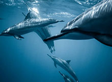 开云体育下载-卡纳瓦罗：每个人都能击败我们 我需要好好解决了